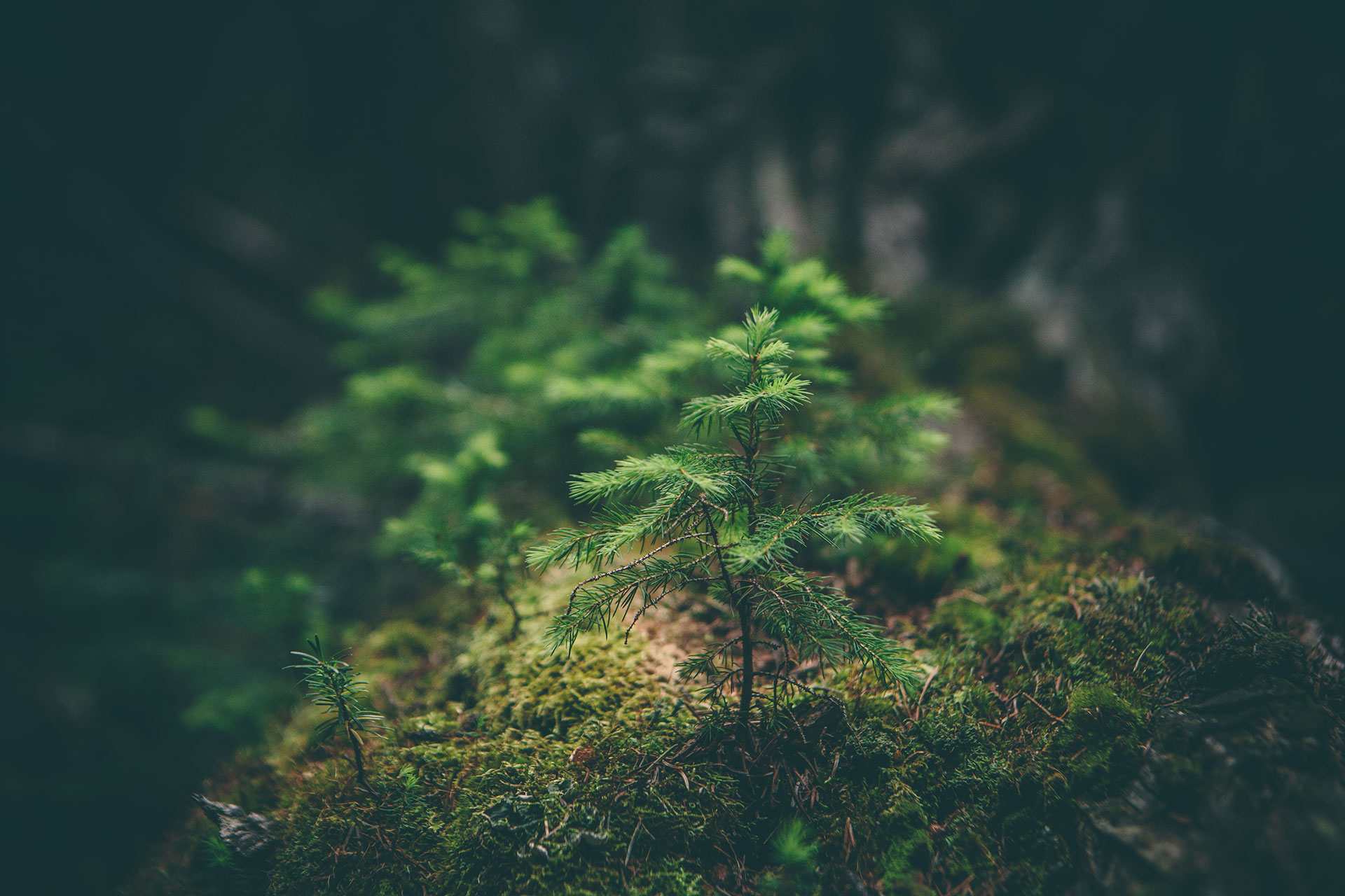 parallax background